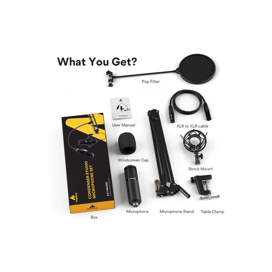 PM320 Studio Condenser XLR Microphone